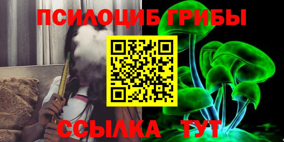 Галлюциногенные грибы Cubensis Краснознаменск